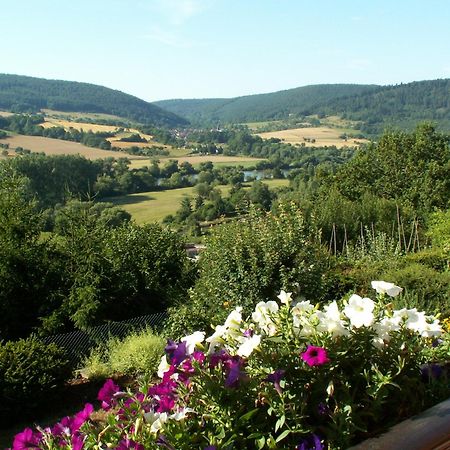 Pension Haus Erika Stadtprozelten Dış mekan fotoğraf