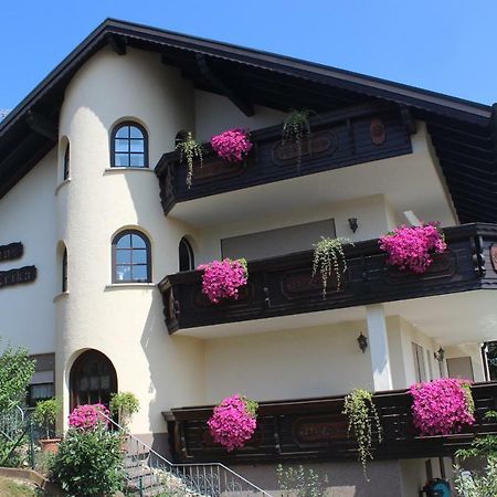Pension Haus Erika Stadtprozelten Dış mekan fotoğraf