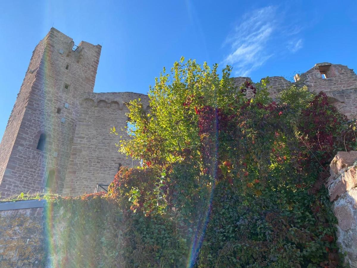 Pension Haus Erika Stadtprozelten Dış mekan fotoğraf
