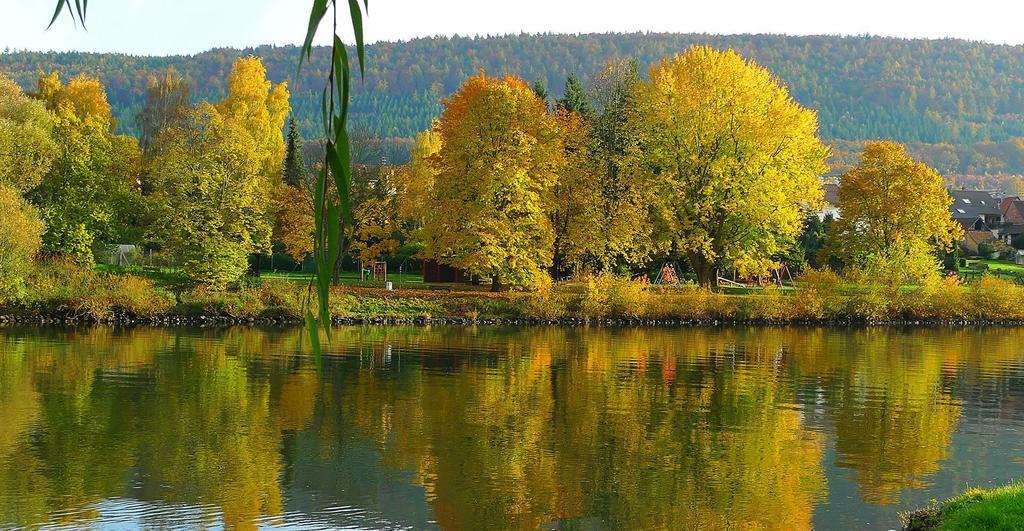 Pension Haus Erika Stadtprozelten Dış mekan fotoğraf