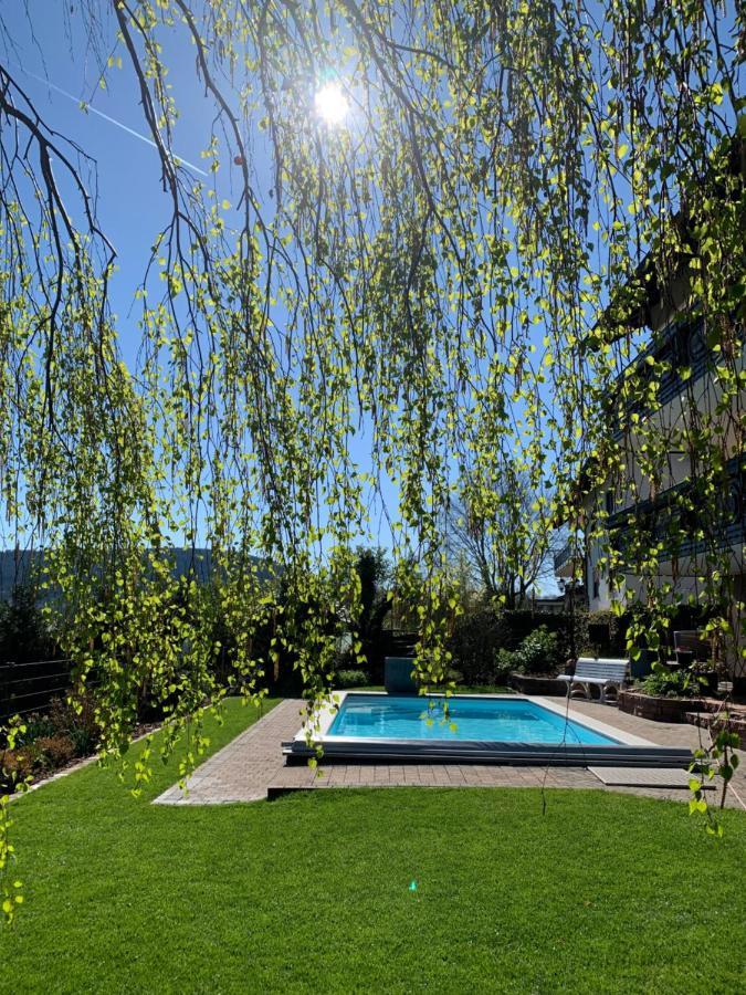 Pension Haus Erika Stadtprozelten Dış mekan fotoğraf