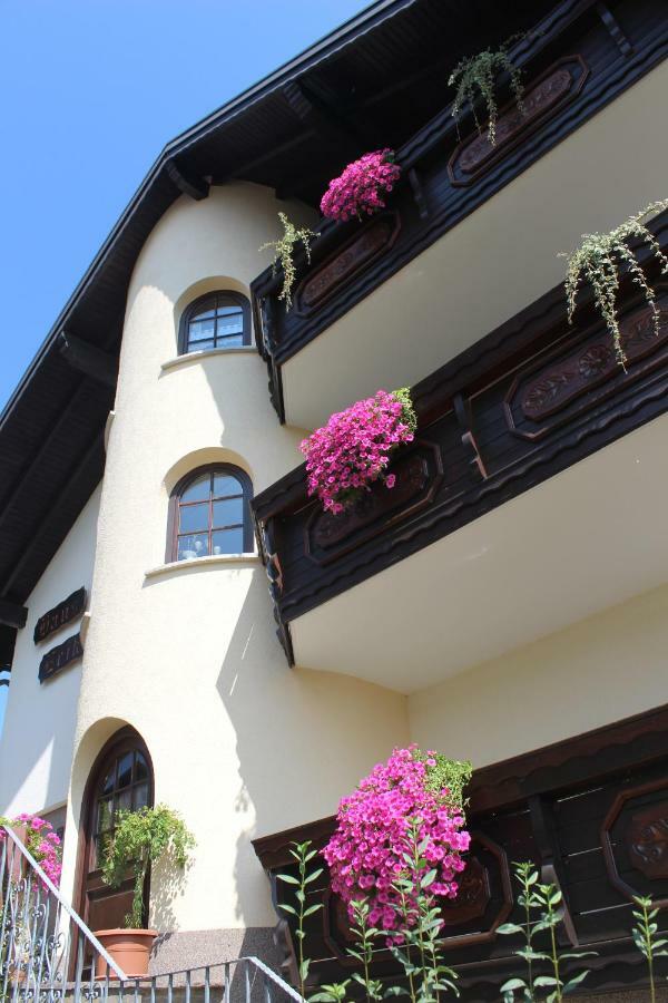 Pension Haus Erika Stadtprozelten Dış mekan fotoğraf