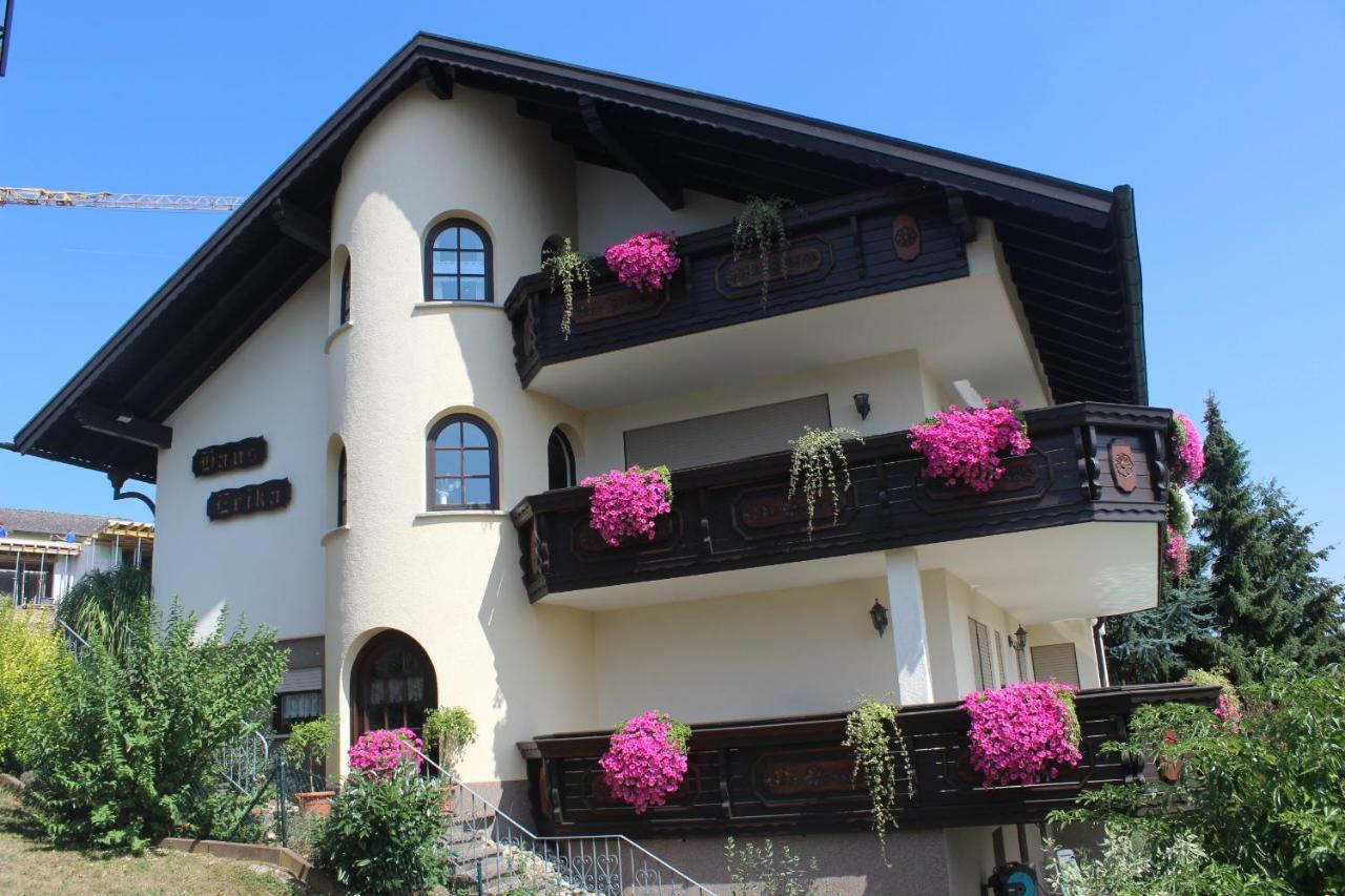 Pension Haus Erika Stadtprozelten Dış mekan fotoğraf