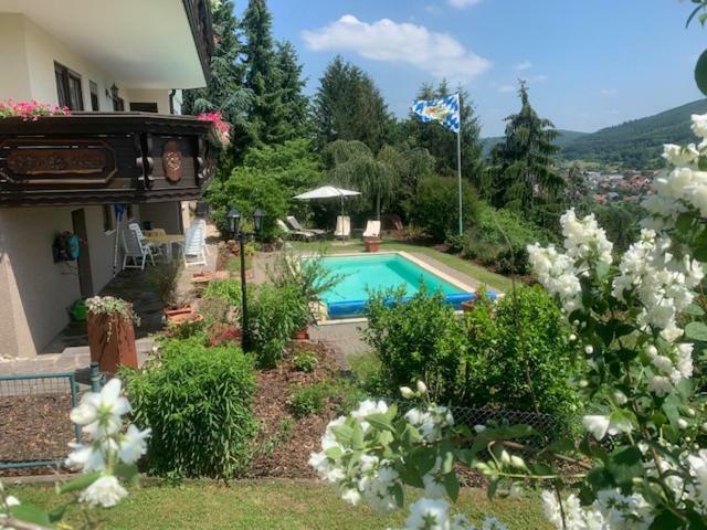 Pension Haus Erika Stadtprozelten Dış mekan fotoğraf